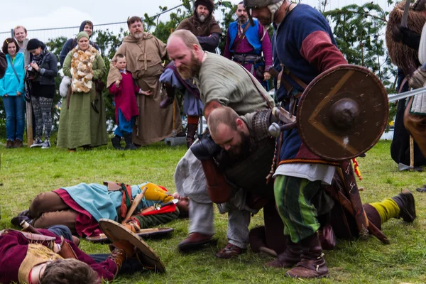 Viking Festivali 2014
