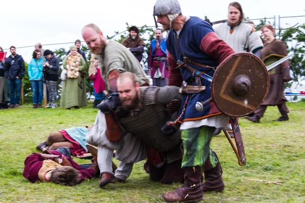 Viking Festival 2014 — Stock Photo, Image