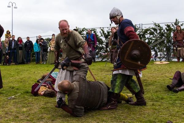 Viking Festival 2014 — Stock Photo, Image