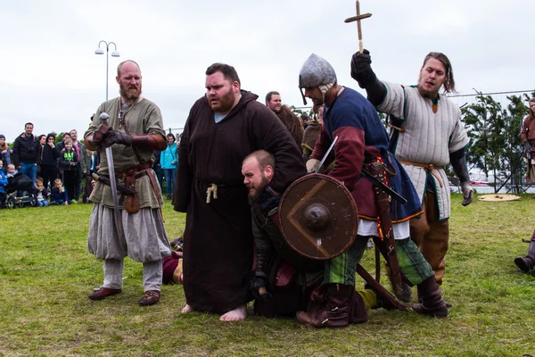 Viking Festivali 2014