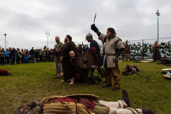 Viking Festival 2014 — Stock Photo, Image