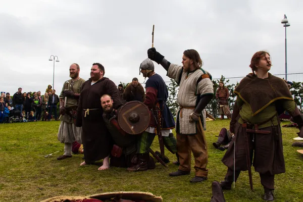 Viking Festivali 2014 — Stok fotoğraf