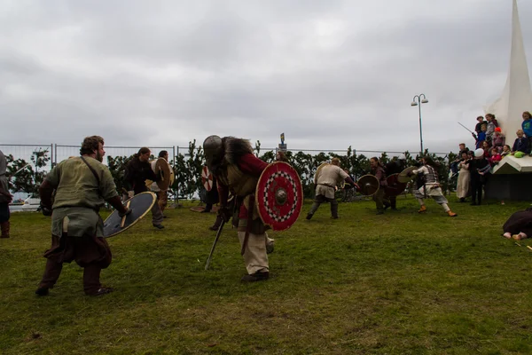 Viking Festival 2014 — Stock Photo, Image