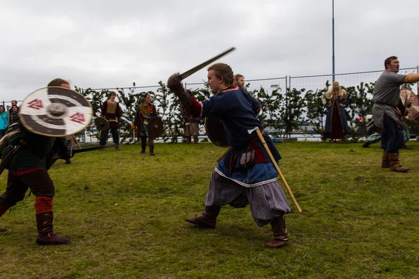 Vikinský festival 2014 — Stock fotografie