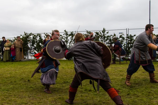 Viking Festival 2014 — Stock Photo, Image