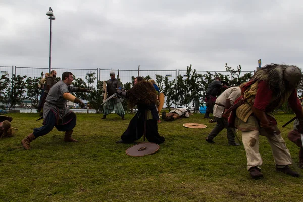 Viking Festivali 2014 — Stok fotoğraf