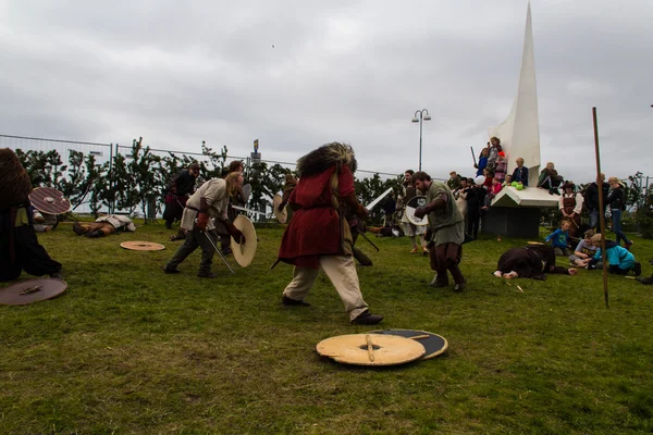 Festival Vikingo 2014 —  Fotos de Stock
