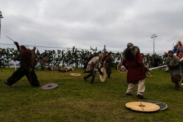 Viking Festival 2014 — Stockfoto