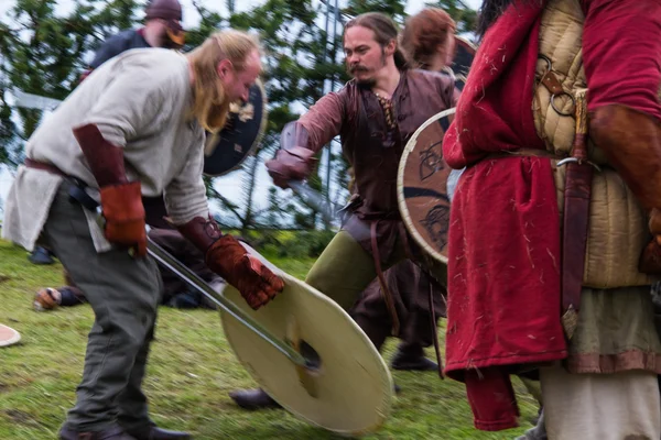Viking Festivali 2014