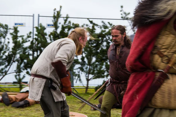 Viking Festivali 2014