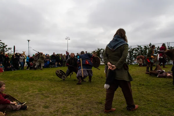 Viking Festivali 2014