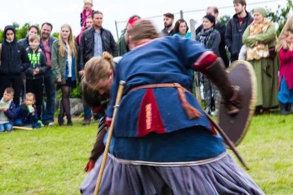 Viking Festival 2014 — Stockfoto