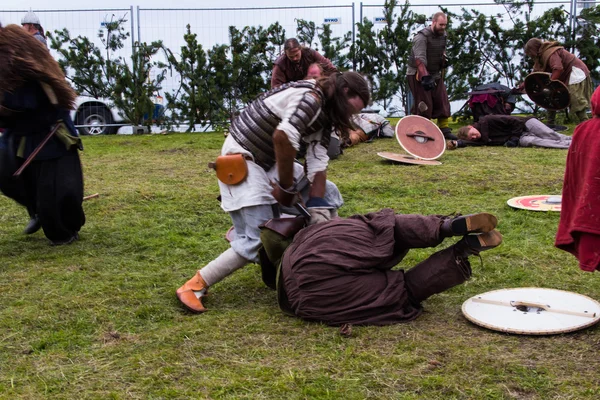 Viking Festival 2014 — Stockfoto