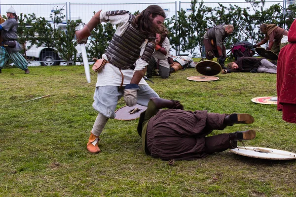 Viking Festivali 2014