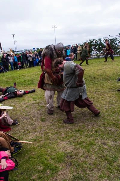 Viking Festival 2014 — Stock Photo, Image