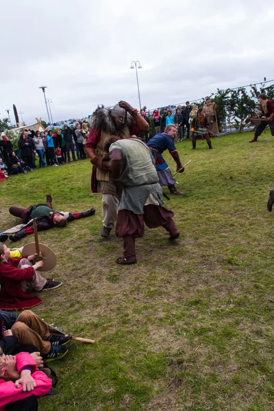 Viking Festival 2014 — Stockfoto