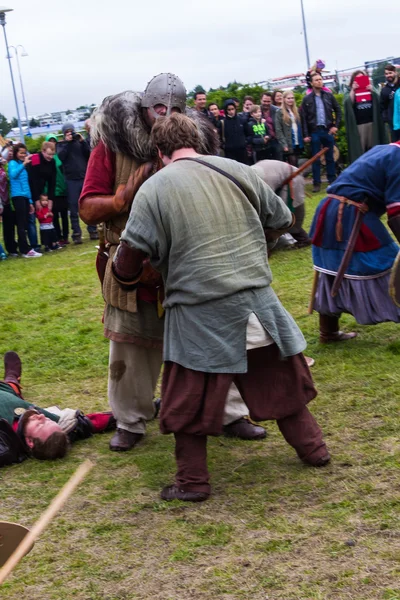 Festival Viking 2014 — Photo