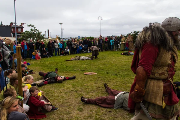 Viking Festival 2014 — Stockfoto