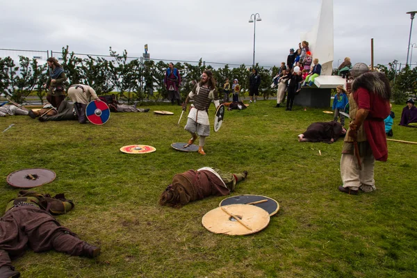 Viking Festival 2014 — Stockfoto