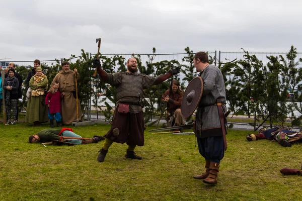 Viking Festivali 2014