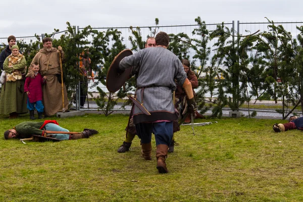 Viking Festival 2014 — Stock Photo, Image