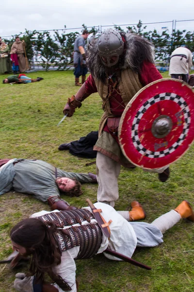 Viking Festival 2014 — Stock Photo, Image