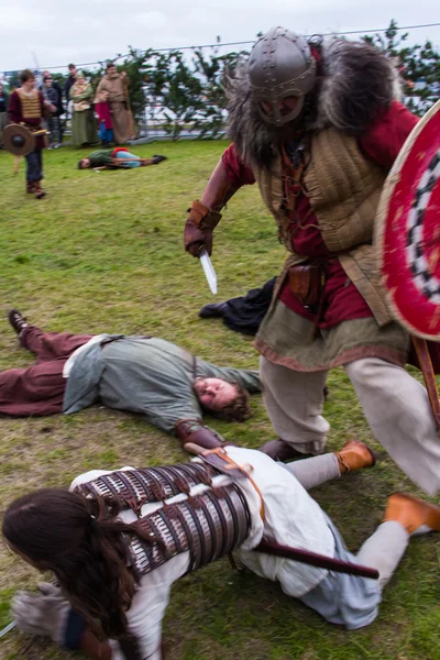 Viking Festivali 2014