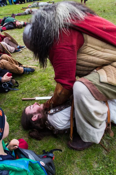 Viking Festivali 2014