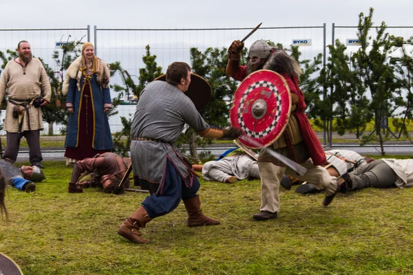 Viking Festival 2014 — Stock Photo, Image