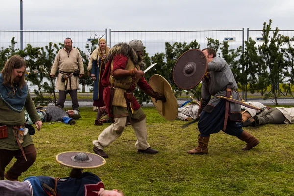 Vikinský festival 2014 — Stock fotografie