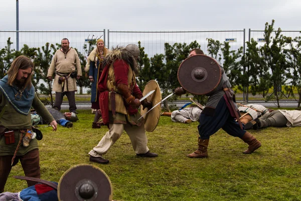 Viking Festival 2014 — Stock Photo, Image