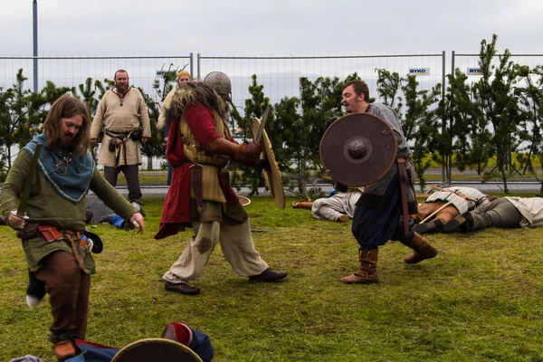 Viking Festival 2014 — Stockfoto