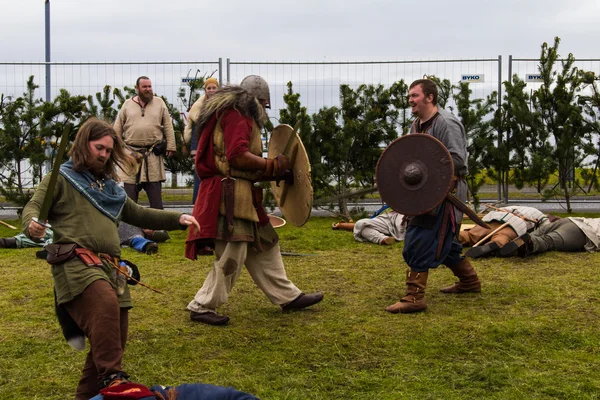 Vikinský festival 2014 — Stock fotografie