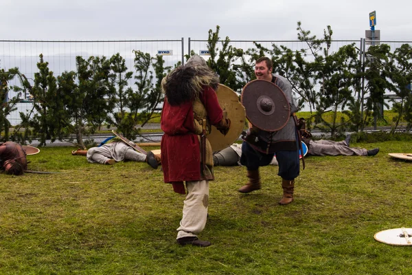 Festival Vikingo 2014 — Foto de Stock