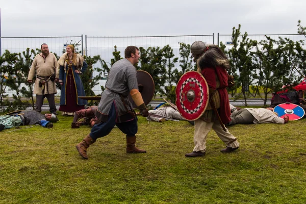 Viking Festival 2014 — Stock Photo, Image