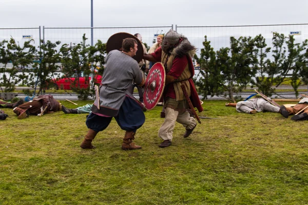 Viking Festivali 2014