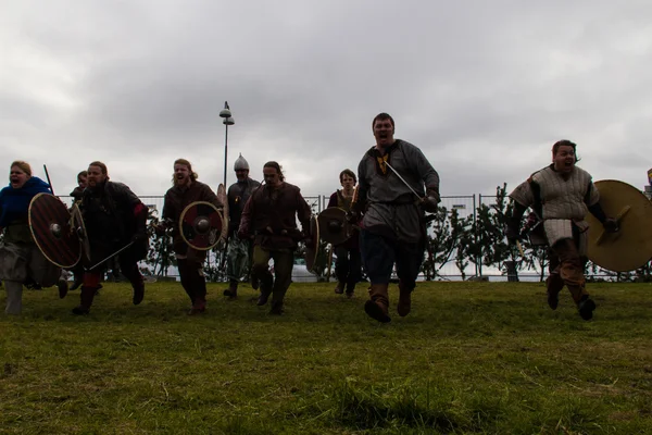 Viking Festivali 2014