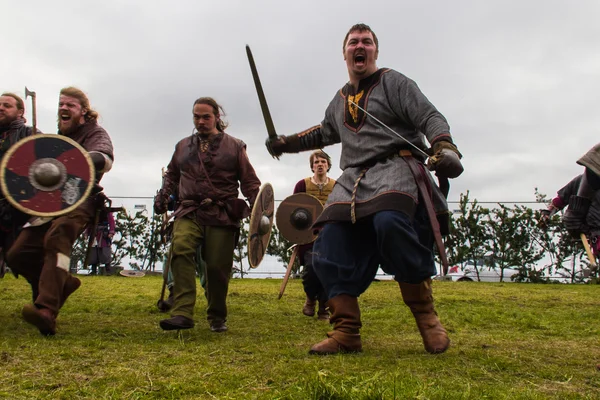 Viking Festival 2014 — Stock Photo, Image