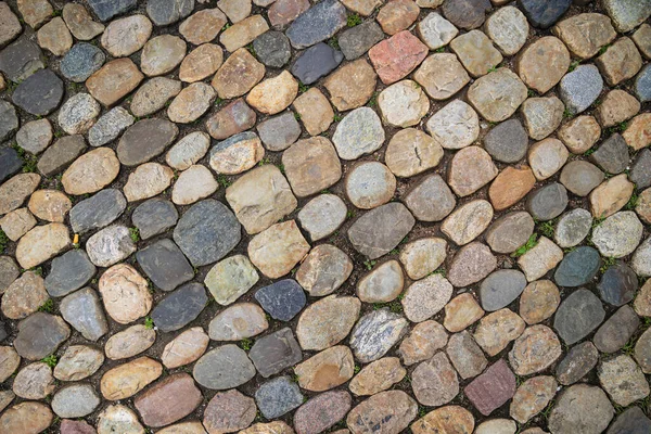 Old rounded cobblestone pavement in old town of Freiburg im Breisgau, Baden-Wuerttemberg, Germany — стокове фото