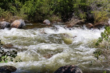 Whitewater of the Middle Popo Agie River at Sinks Canyon, Lander Wyoming, USA