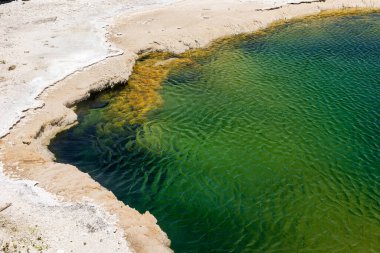 Looking into green water of Yellowstones Black Pool, West Thumb Geyser Basin, Yellowstone National Park, Wyoming, USA