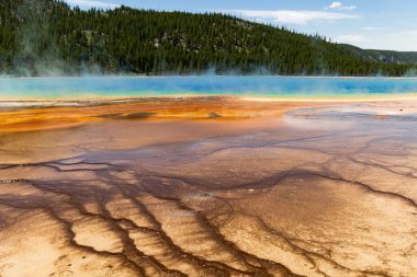 Water running off of Grand Prismatic Spring creating brown rippled sediment layers, Yellowstone National Park, Wyoming, USA
