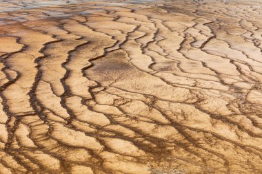 Water running off of Grand Prismatic Spring creating brown rippled sediment layers, Yellowstone National Park, Wyoming, USA