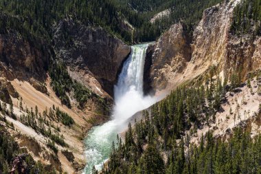 Lower Falls of the Yellowstone River crashing into the canyon as seen from North Rims Lookout Point, Yellowstone National Park, Wyoming, USA