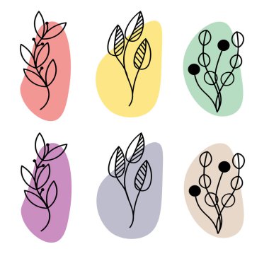 Silhouette. Collection hand drawn, botanical and healing isolated plants.Herbs design template.Twigs and leaves with abstract colorful forms