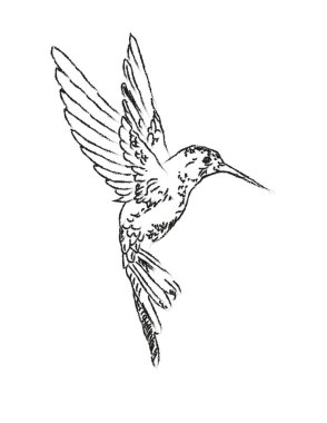 Hummingbirds are birds native to the Americas and constituting the biological family Trochilidae. Hummingbird art