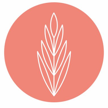 Silhouette. Collection hand drawn, botanical and healing isolated plants.Herbs design template.Twigs and leaves with abstract colorful forms