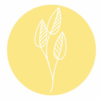 Silhouette. Collection hand drawn, botanical and healing isolated plants.Herbs design template.Twigs and leaves with abstract colorful forms