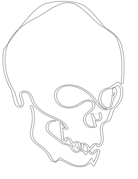 Minimalistic Scull Tattoo Design Line Drawing — 图库照片