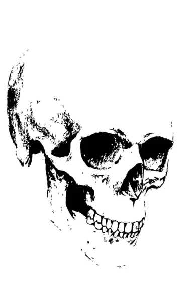 Minimalistic Scull Tattoo Design — Stock Photo, Image